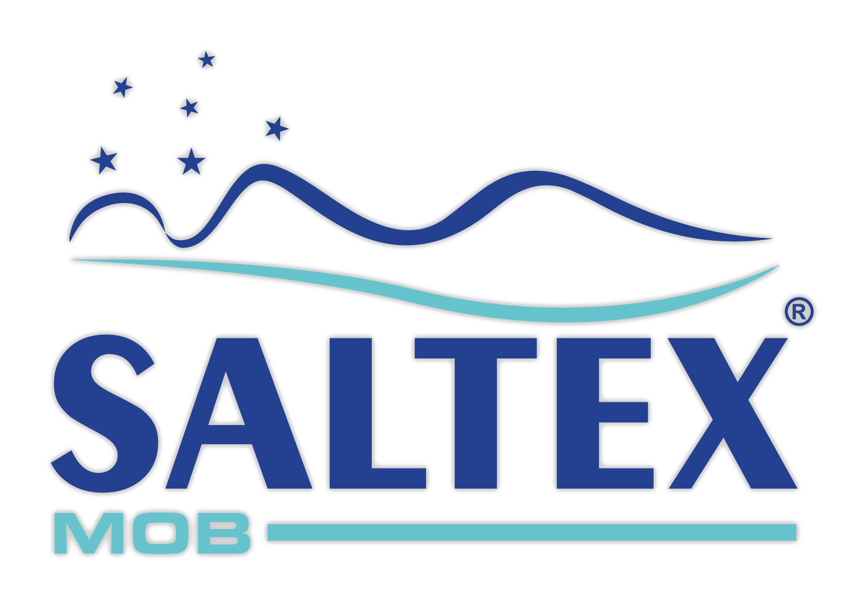 saltex
